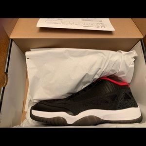 Jordan 11 IE (2011) OG Color